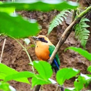 Meet your Posher, Cabiria